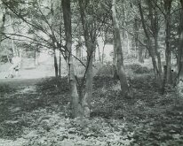 IMAG0160