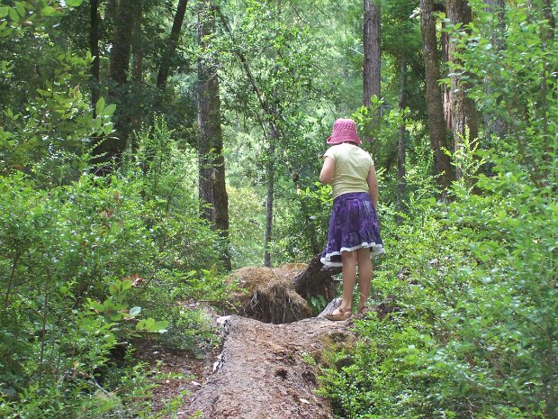 2006-08 Lewes in USA